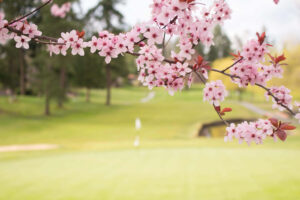 Read more about the article Preparing Your Mini Golf Course for a Spring Reopening