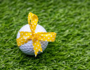 Read more about the article A Guide to Mini Golf for Fundraising