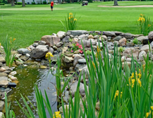 Read more about the article Four Benefits of Adding Water Features to Your Mini Golf Course