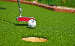 Read more about the article How to Keep your Mini Golf Course Clean