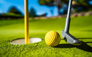 Read more about the article Ways To Increase Revenue at Your Mini Golf Course