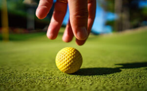 Read more about the article Why Now is the Best Time to Start a Mini Golf Course Business